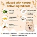 BuddyCare Dog Conditioner - Oatmeal - 500ml