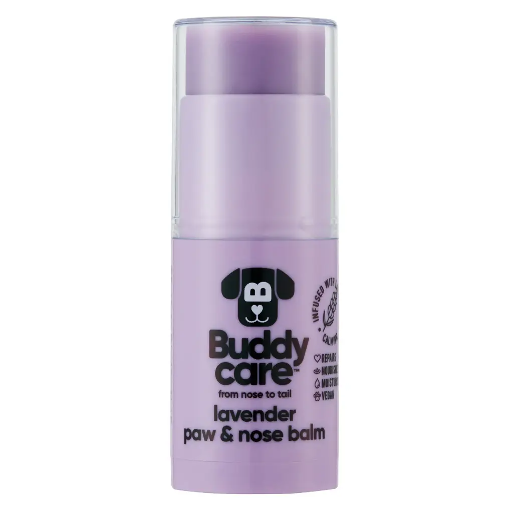 [B69021] BuddyCare Paw & Nose Balm - Lavender - 21g